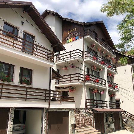 Vila Loft Cube Sinaia Eksteriør billede