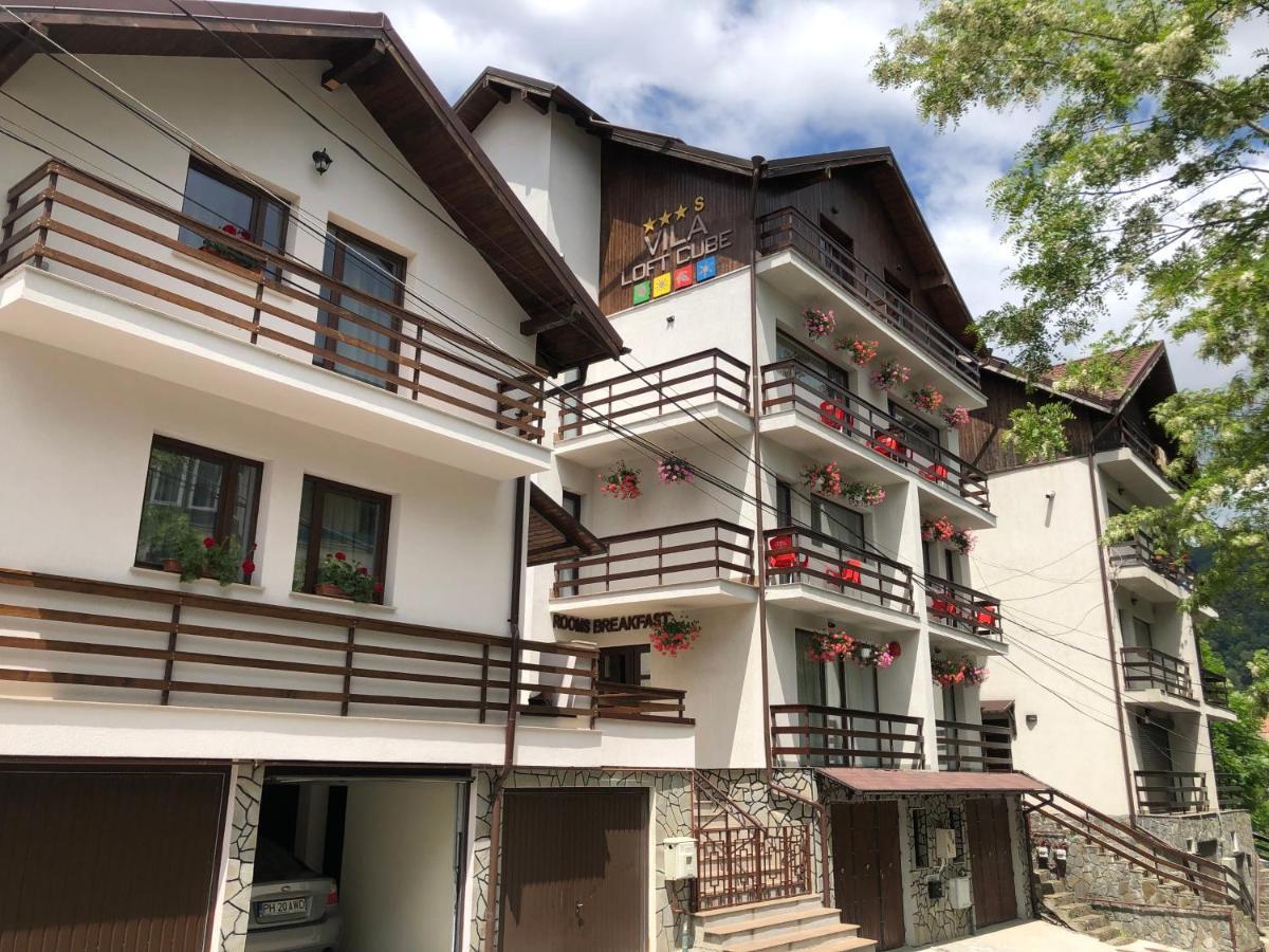 Vila Loft Cube Sinaia Eksteriør billede