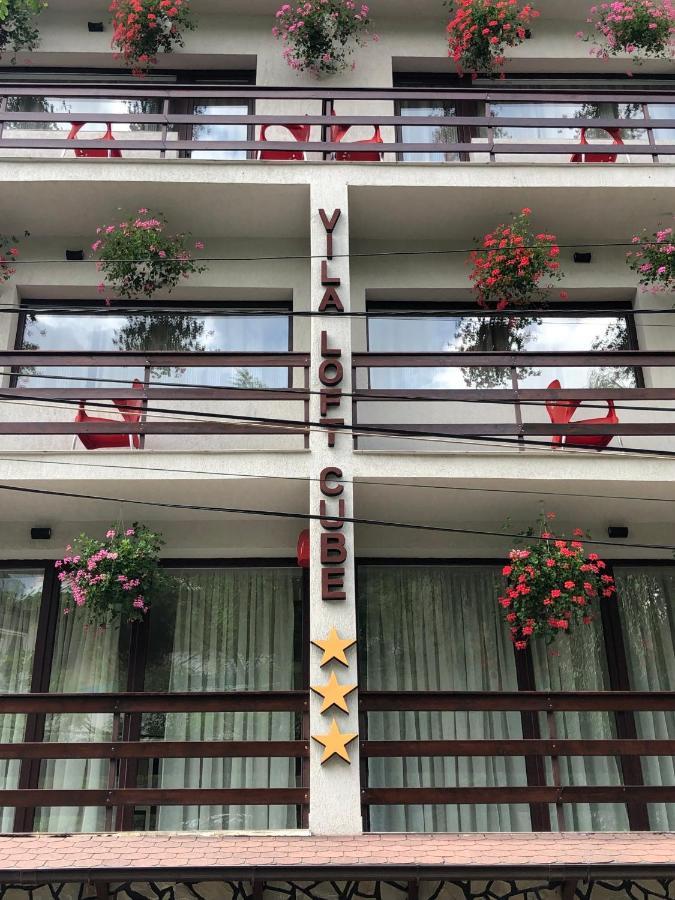 Vila Loft Cube Sinaia Eksteriør billede